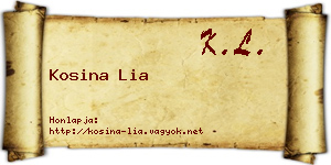 Kosina Lia névjegykártya